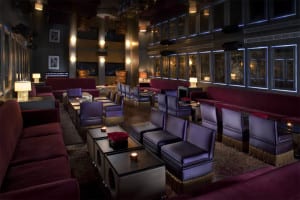B Bar at The Betsy Hotel - Bar & Hotel Design by Bigtime Design Studios