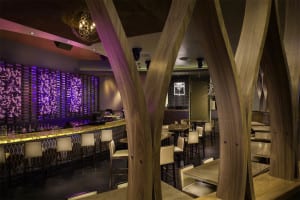 Dirty Martini - West Palm Beach, FL - Restaurant Design by Bigtime Design Studios