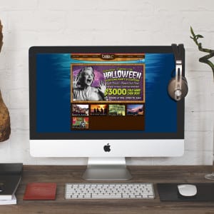 Baja Beach Club - Website Design