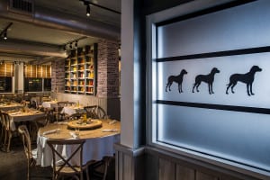 Ciao Hound Kitchen & Bar, Postcard Inn Resort Islamorada, FL - Hospitality Design by Bigtime Design Studios