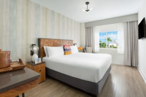 Washington Park Hotel Guestrooms - Design by Bigtime Design Studios
